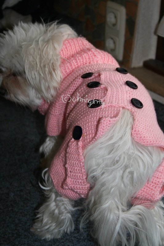 Strick- und Häkelanleitung Hundemantel, Hundepullover Mandy Gr. XS - Bild 2