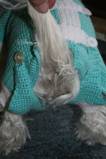 Strick- und Häkelanleitung Hundemantel, Hundepullover Jeany Gr. XS