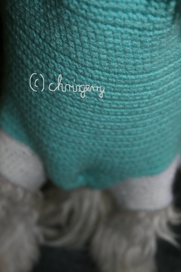 Strick- und Häkelanleitung Hundemantel, Hundepullover Jeany Gr. XS