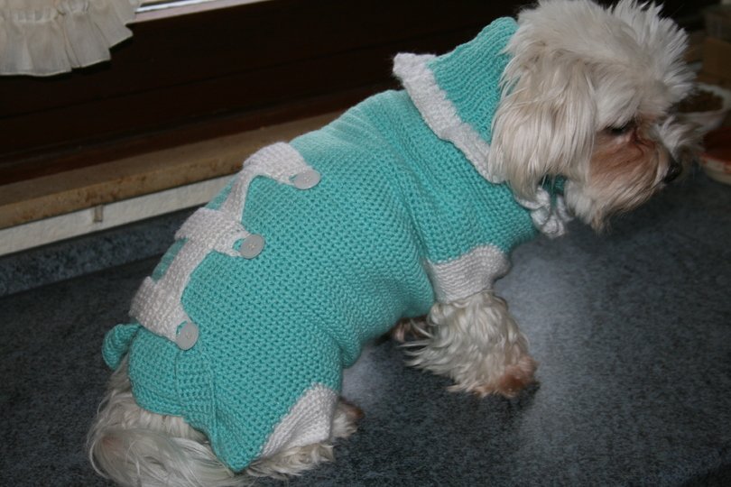 Strick- und Häkelanleitung Hundemantel, Hundepullover Jeany Gr. XL