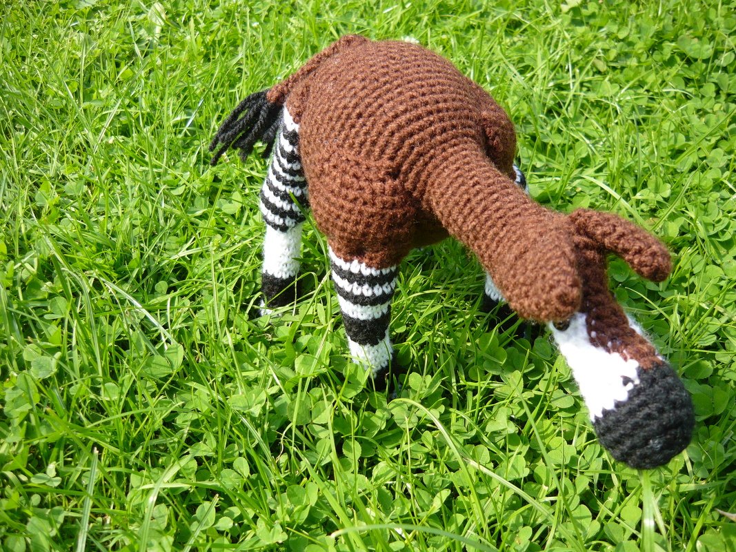 Gehäkeltes Okapi-Amigurumi mit braunem Körper und schwarz-weißen Streifen an den Beinen auf grüner Wiese