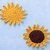 Sonnenblume und Sonne Häkelanleitung