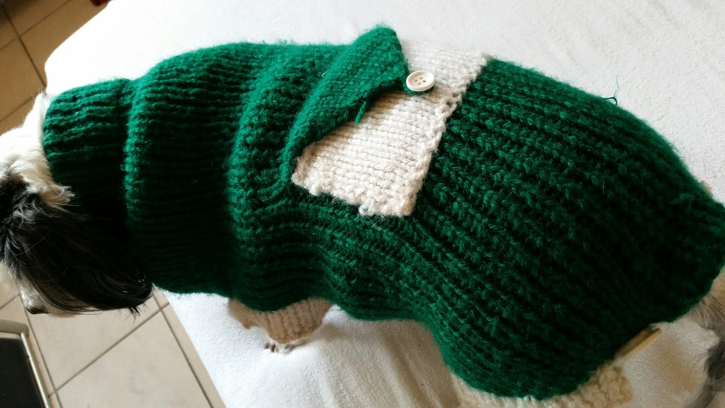 Kleiner Hund trägt grünen gestrickten Pullover mit Rollkragen und hellbeiger Tasche mit Knopf