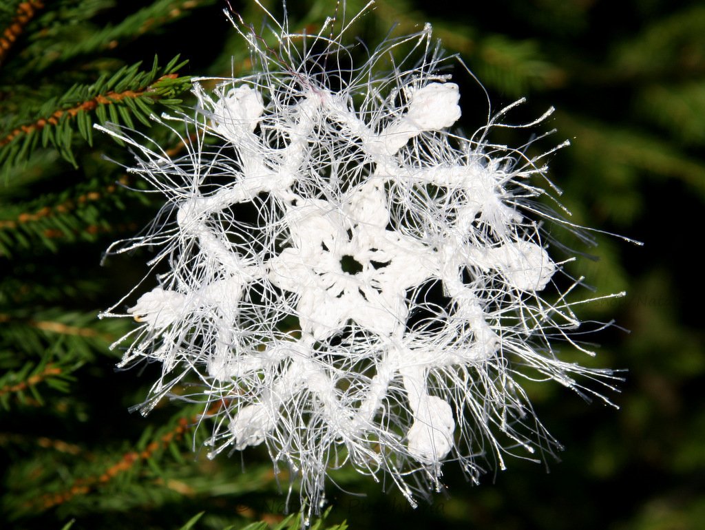 Weiße gehäkelte Schneeflocke aus Flauschgarn an Tannenzweig