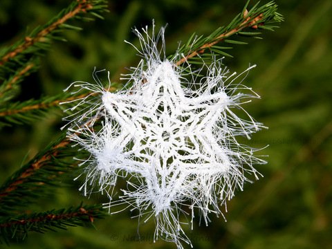 Schneeflocke 'Stern' - Häkelanleitung mit Häkelschrift