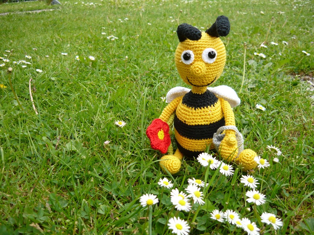 Gehäkelte Amigurumi-Biene mit schwarz-gelben Streifen, weißen Flügeln, roter Blume und Körbchen, sitzend im Gras mit Gänseblümchen.