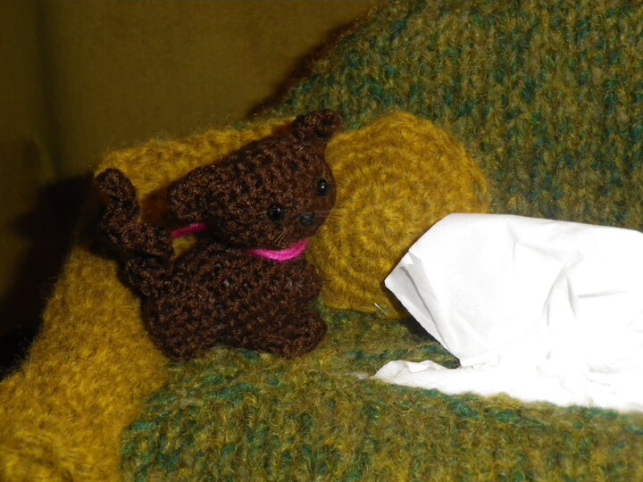 Strickanleitung für ein Taschentuchsofa mit Kätzchen (Überzug für eine Taschentuchbox)