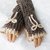 gestrickte Armstulpen mit Daumenausschnitt, Häkelrand und Schleife, Cuffs, Manschetten, unisex, LFST111