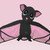Crochet Pattern Betty the bat