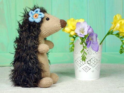 Moni the Hedgehog Lady knitting pattern