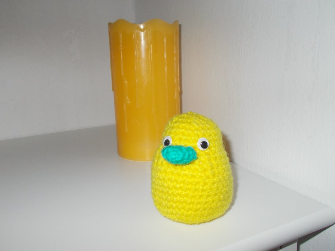 Küken  " Plantschi " - Bild 2