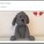 Crochet Pattern Dog Benny