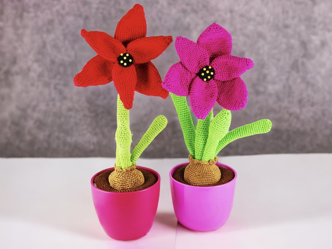 Amaryllis / Ritterstern - Häkelanleitung