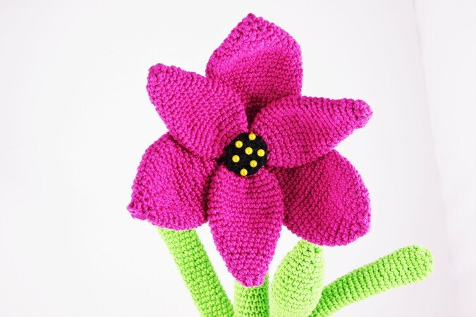 Amaryllis (Hippeastrum) - crochet pattern