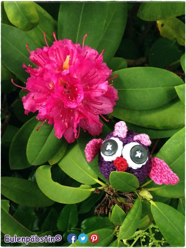 It's Eulen-Time | H&auml;keleulen - Bild 2