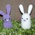 purpel and white simple easter bunny crochet pattern