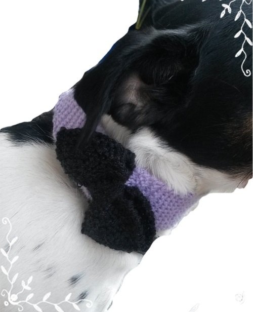Strickanleitung Hundehalsband mit Schleife