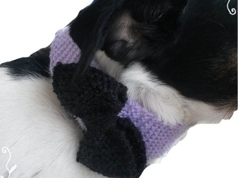 Strickanleitung Hundehalsband mit Schleife