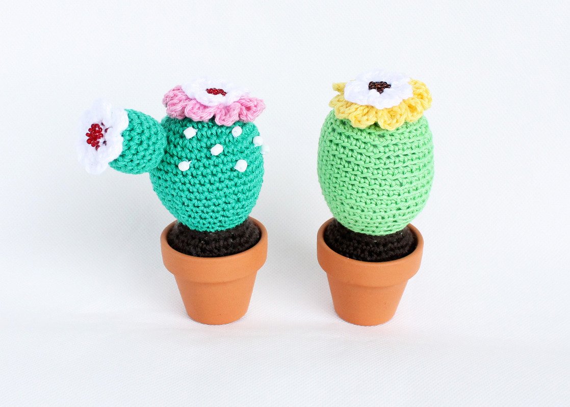 Mini-Kakteen im Topf