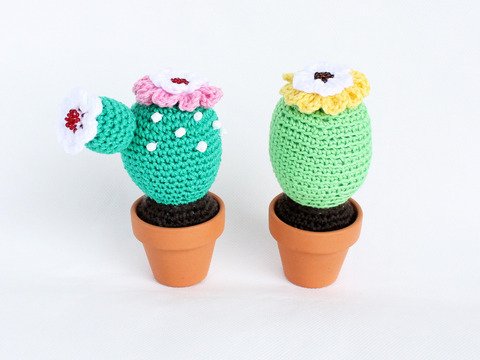 Mini-Kakteen im Topf