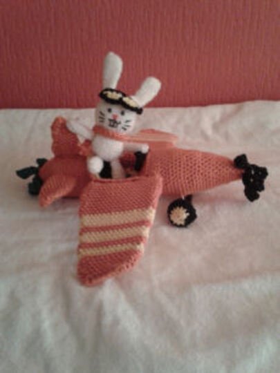 Hase Hopsi im Flugzeug