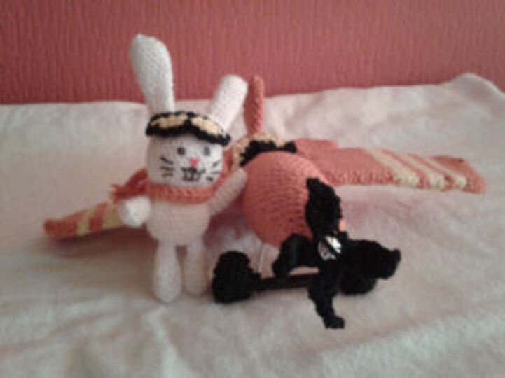 Hase Hopsi im Flugzeug