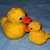 Ente, Quietschente, Badeente, Tierbaby