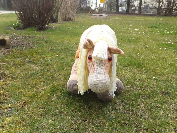 Frühlingsset Special zum Häkeln - Amigurumi Kinderjacke Häkelblumen Pferd Xxl