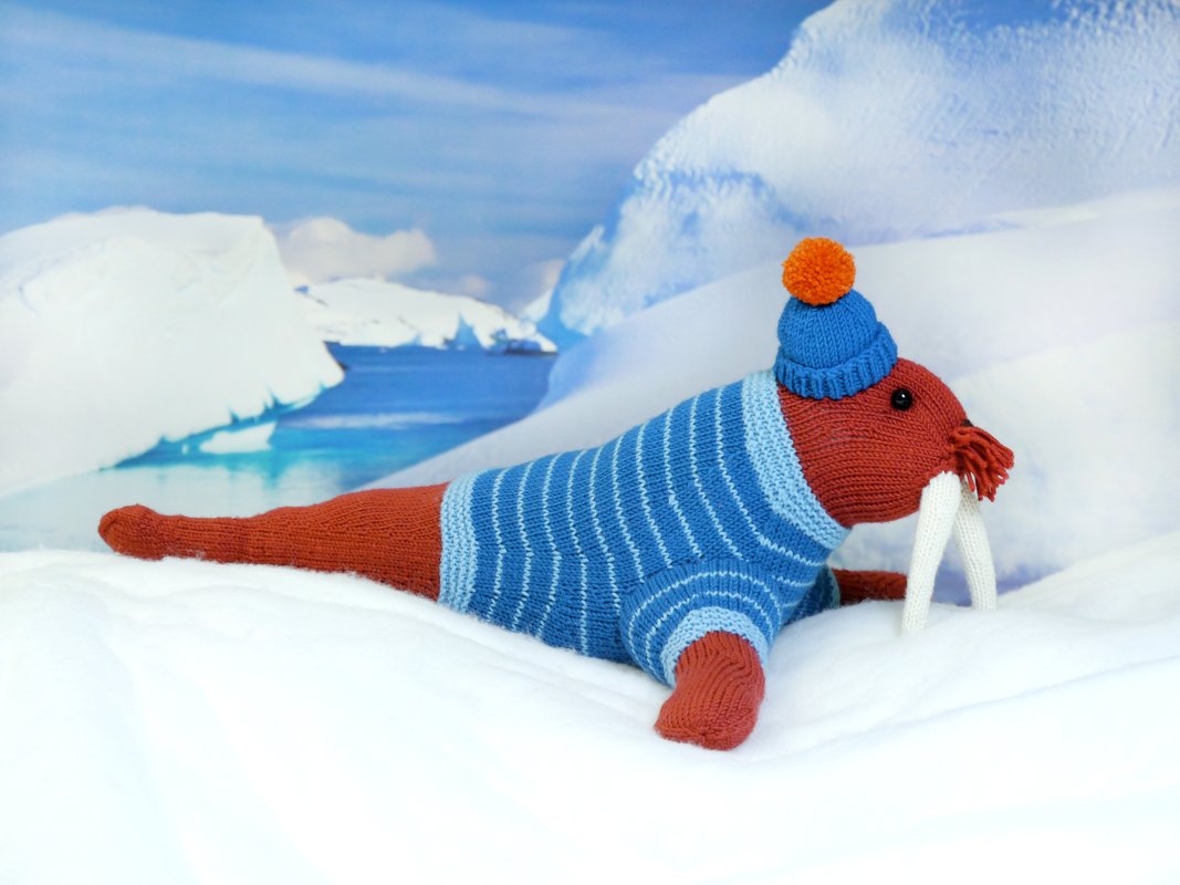 Akiak das Walross, Strickanleitung - Stricken