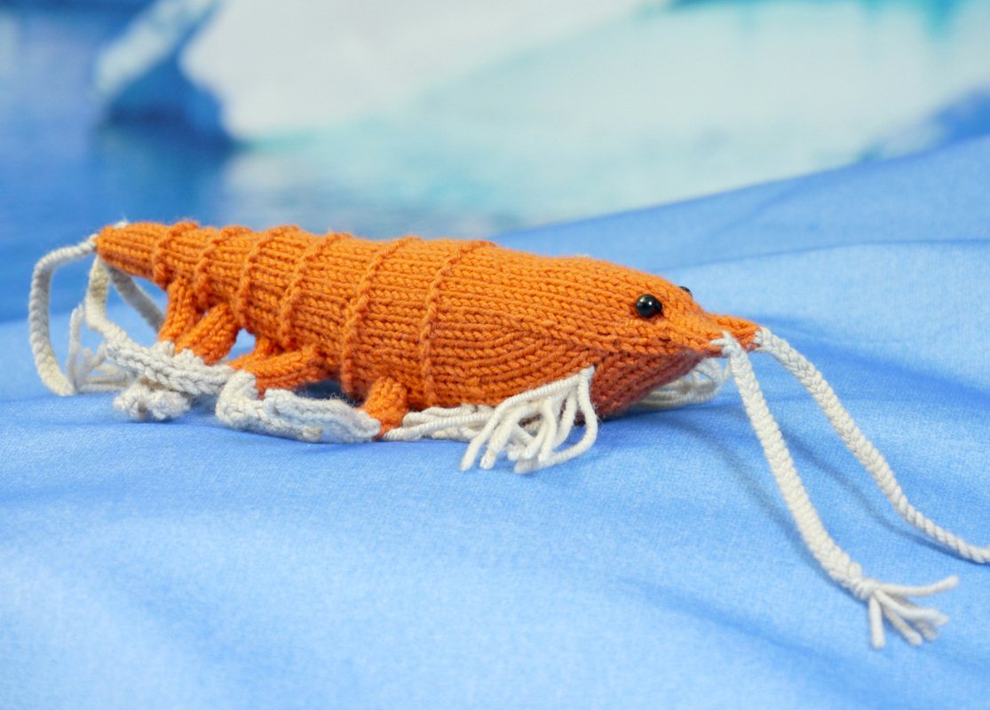 shrimp / krill Napoleon knitting pattern