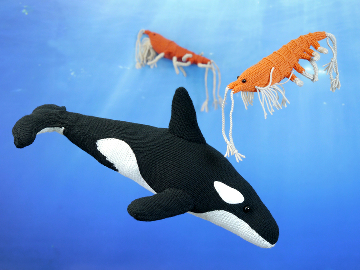 shrimp / krill Napoleon knitting pattern