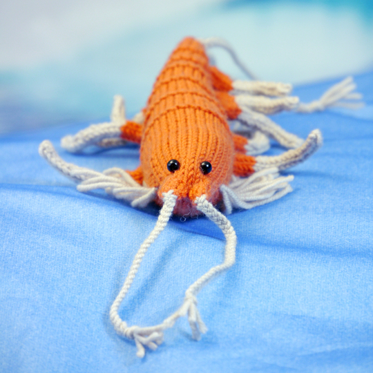 shrimp / krill Napoleon knitting pattern