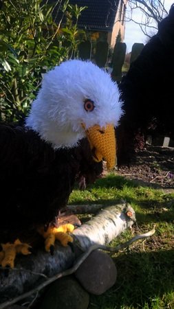 Crochet pattern life-size eagle (49 pages)