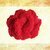 Strickanleitung Rose stricken, Blume, Rose stricken, Streudeko