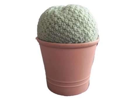 Strickanleitung Kaktus Kaktee, leicht zu stricken, 10 cm hoch ohne Blumentopf