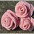 - ROSE -  häkeln, Rosenstrauß, Muttertag, Valentinstag, tolle Geschenkidee