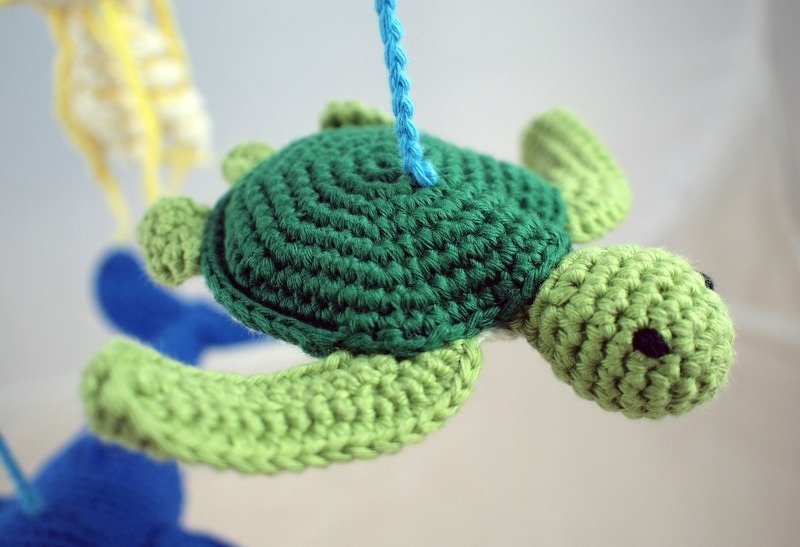 Sheldon die Meeresschildkröte