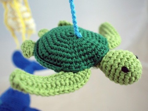 Sheldon die Meeresschildkröte