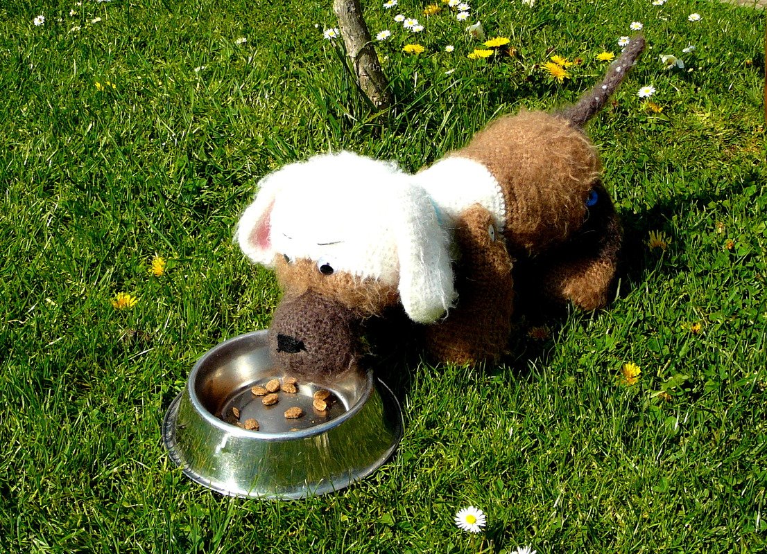 Gehäkelter brauner Amigurumi-Hund mit weißen Ohren neben Metall-Futternapf auf Gras