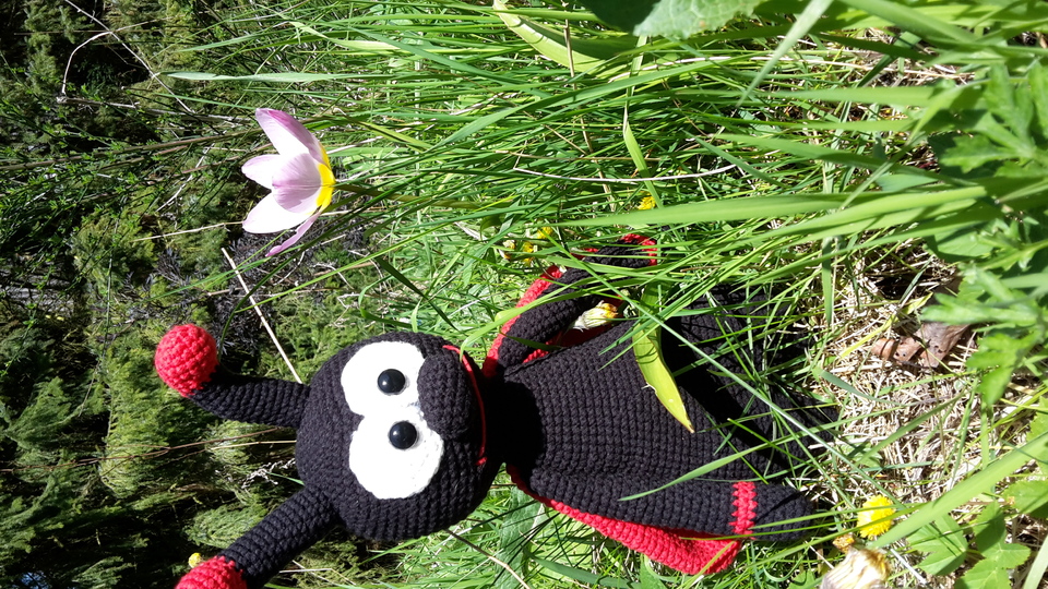 Häkelanleitung Marienkäfer Pünktchen