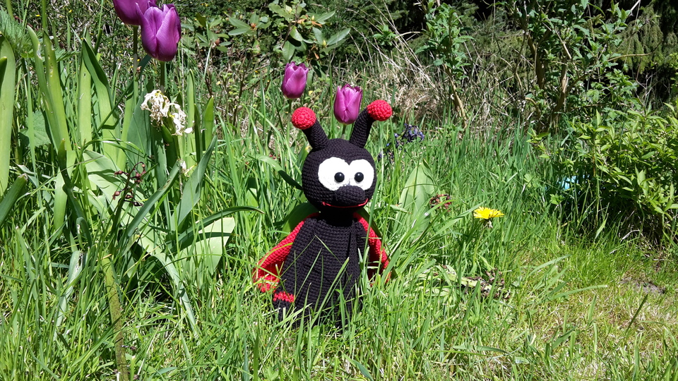 Häkelanleitung Marienkäfer Pünktchen