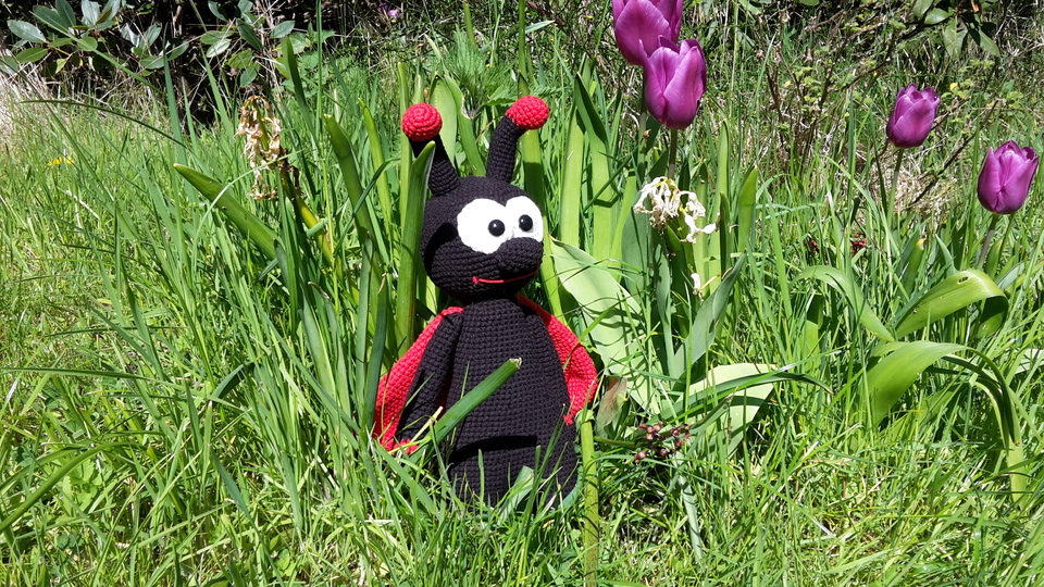 Häkelanleitung Marienkäfer Pünktchen