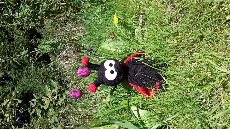 Häkelanleitung Marienkäfer Pünktchen