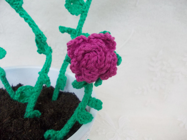 Stielrosen, Rosenranken, Rosenbogen, Rosenblätter und Rosenknospen häkeln und viele Blätter, für alle, welche Rosen lieben das Ensemble "Rosenliebe" 