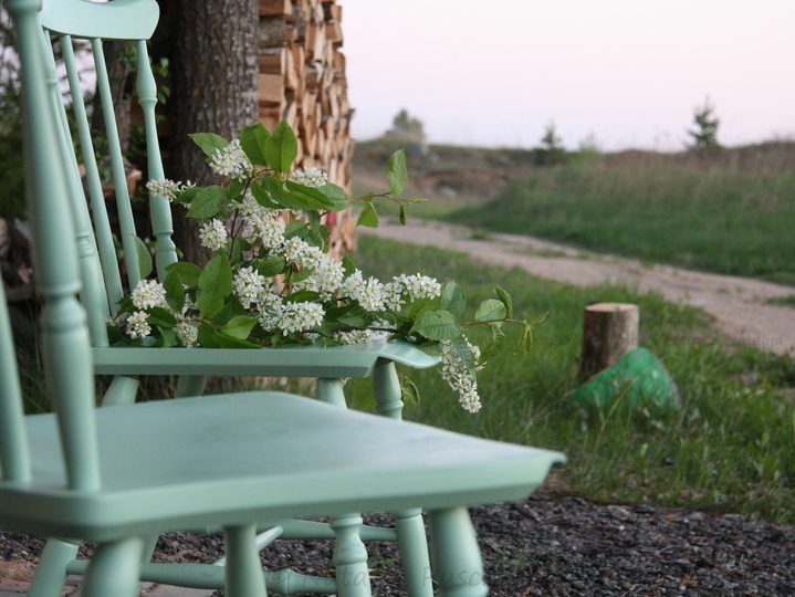 Eine Decke zum Einkuscheln - Häkelanleitung