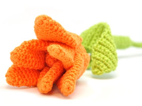 Tulpe Häkelanleitung