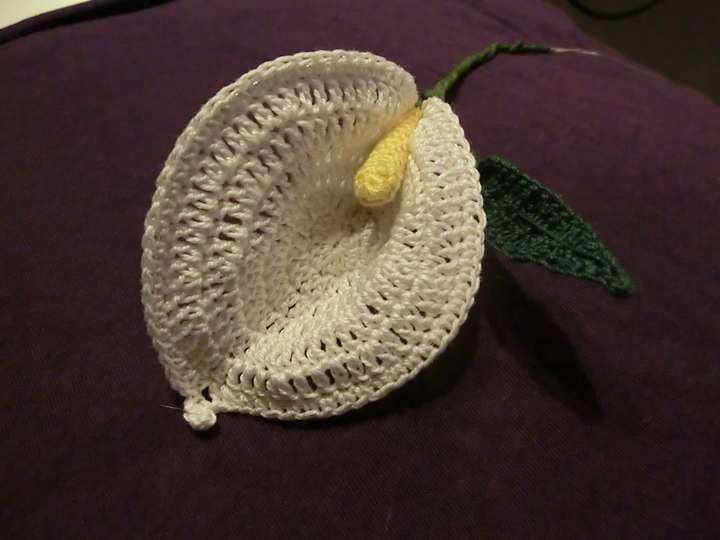 Calla Lilie mit Blatt