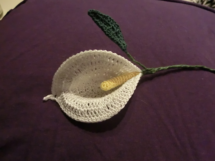 Calla Lilie mit Blatt