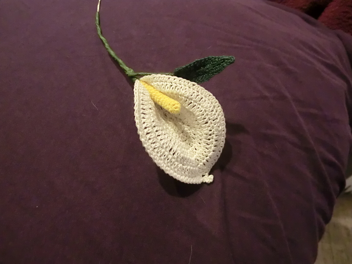 Calla Lilie mit Blatt