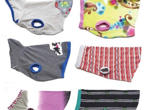 Doggy *** Hunde-Sweater nach Maß eBook Pdf-Datei Nähanleitung & Schnitt-Entwicklung nach Maß Design with LOVE by firstloungeberlin